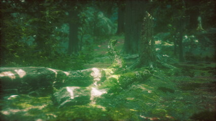 Bright greens and soft browns paint the forest floor, where moss covers fallen logs and small twigs. Sunlight filters through trees creating a peaceful, inviting atmosphere for nature lovers.