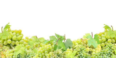 Green grape isolated