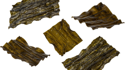 Abstract display of flavorful seaweed sheets, showcasing their distinct textures and unique shapes on an isolated white background, dried algae