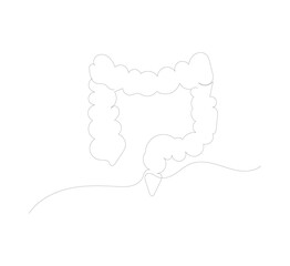 Single line drawing of human large intestine organ. Continuous line drawing of human internal organs, intestines, small intestine, large intestine, digestive tract.vector illustrator