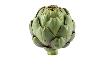 Obraz premium A captivating close-up showcases the intricate beauty of a fresh artichoke, its layered bracts creating a visually appealing and textured form