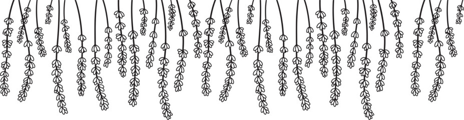 A monochrome line art illustration featuring multiple stylized lavender sprigs or similar botanical elements hanging downwards, forming a decorative and repetitive pattern.