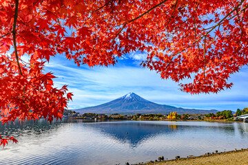 河口湖から富士山と紅葉