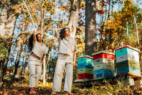 Women exploring apiary and beehives in autumn forest