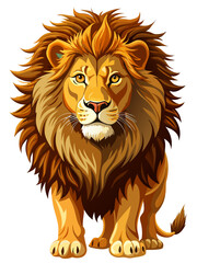 Fototapeta premium Lion real , white background 