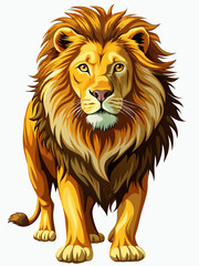 Obraz premium Lion real , white background 
