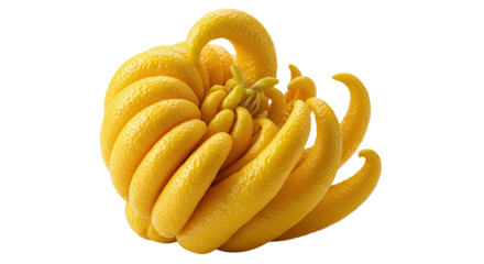 Kumquat Arrangement Curled Spiral Cluster Rose-Inspired Display