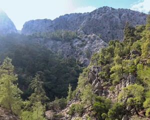 Dramatic limestone mountains in Goynuk canyon, Turkey. Rocky cliffs with pine forests.