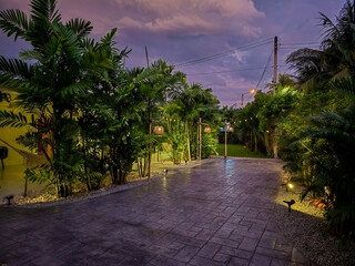 Naklejka premium Stamped concrete pathway surrounded by lush greenery in Bangkoks serene neighborhood