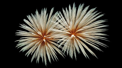 Stunning Display of White Feathery Textures Against Dark Background