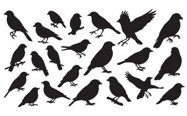 Bird Silhouette Vector Set