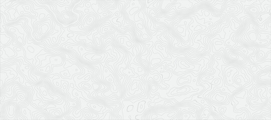 Minimalist Topographic Map Abstract Featuring Fine, Faint Gray Contour Lines Topography Texture for Background Design and Maps.
