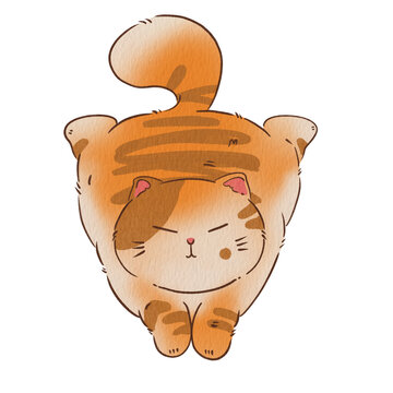 Cat cute