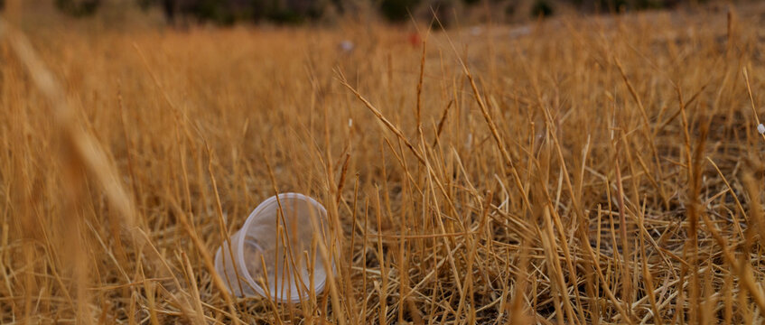 Plastic cup in the grass in the middle of foothills steppe. Nature ecology problem.
