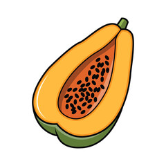 Cutaway Papaya Illustration