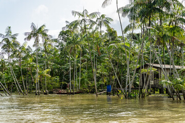 River boat tour on the Guama River at Belem do Para, a city on the north area of Brazil.