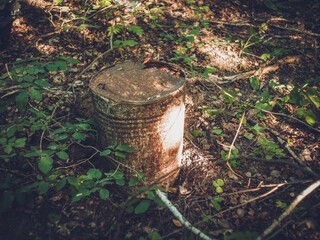 Fototapeta premium Old metal barrel in the forest
