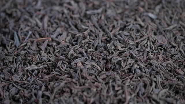 Closeup black tea leaves in pile, artisan blender inspecting aroma, tactile wiry texture, warm brown tones, rustic market mood, shallow depth of field, premium small-batch concept
