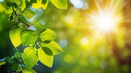 Vibrant green leaves illuminated by sunlight, celebrating the essence of springtime nature
