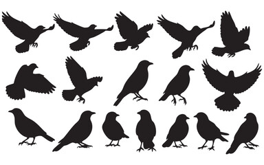 Obraz premium Bird Silhouette Vector Set