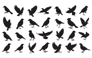 Bird Silhouette Vector Set