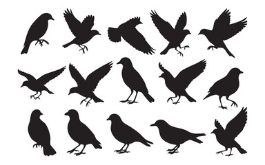 Bird Silhouette Vector Set