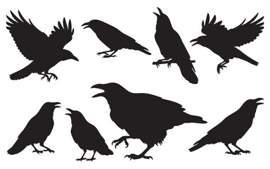 Bird Silhouette Vector Set