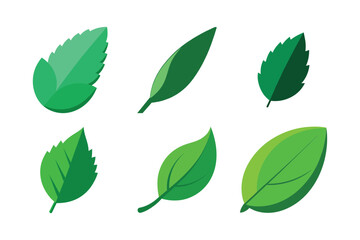 Flat Vector Green Leaves Set