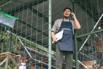 Happy Farmer Managing Poultry Business With Laptop and Phone Inside Chicken Coop © Gatot
