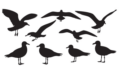 Obraz premium Bird Silhouette Vector Set