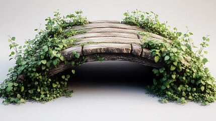 Rustic wooden bridge overgrown with lush green ivy on white background arch bridge vine