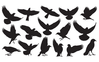 Bird Silhouette Vector Set