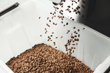 Roasted Coffee Beans Pouring Into Container for Packaging
