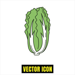 Green crisp lettuce or cabbage vegetable doodle vector icon illustration Vector