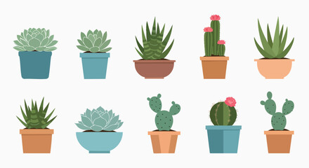Colorful collection of potted succulents and cacti plants vector graphics houseplant decor garden green home nature