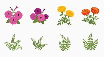 Vibrant flat design flowers and green leaves vector collection elements Petunia Marigold Fern Leaf Bloom Nature Garden Flora Isolated