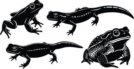 Silhouette of various frog and toad amphibians
