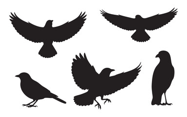 Bird Silhouette Vector Set