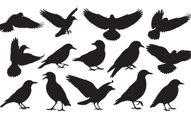 Bird Silhouette Vector Set