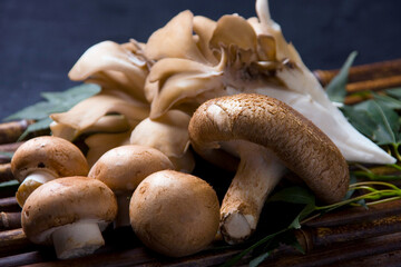 きのこの盛り合わせ｜マイタケ・椎茸・マッシュルーム