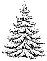 how to draw a fir tree with black pen or ink step by step, black, christmas tree, drawing, fir tree, ink, pen, pine tree, step, tree, against transparent background
