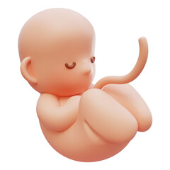 Fetus Embryo baby cartoon style 3D graphic