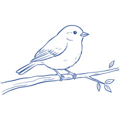 Hand drawn bird sketch.Small songbird on branch.Vector nature linear art.Outline sparrow illustration.Monochrome wildlife drawing