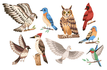 Wild forest bird on branch and flying. North american fauna © Yulia Zelinskaya