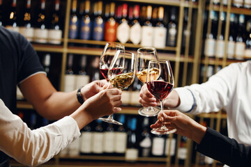 People in good mood clink glasses, celebrating together, photo focus on hands woman and man tasting degustation different types of wine, alcohol beverage to relax, bottles on shelves on background