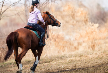 A young girl riding a chestnut horse in rural countryside.