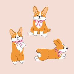 A set of cute corgi dogs with pink bows on their necks. Vector graphics.