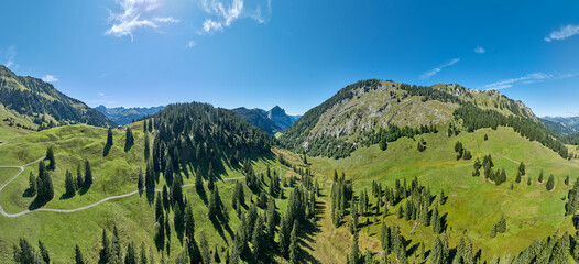 Mountain Landscape below Didamskopf summit in the Bregenz Forest Mountains near village of Au, Vorarlberg, Austria