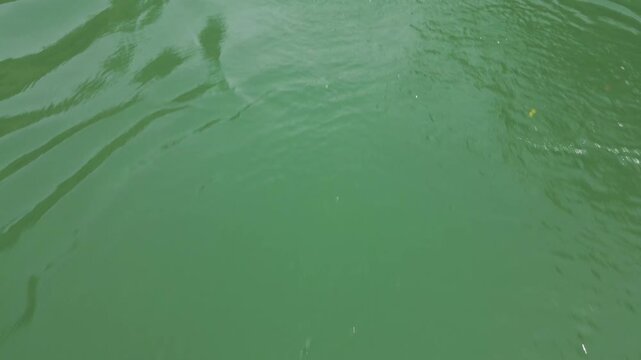 A man in a canoe paddling on a lake surrounded by nature. Aerial view of a canoeist practicing canoeing, a healthy outdoor activity