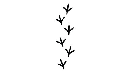 A sequence of bird tracks in black on a white background in a line